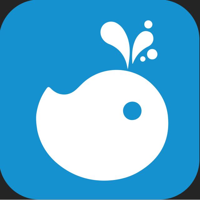 证金汇金操盘手法,证金投资策略