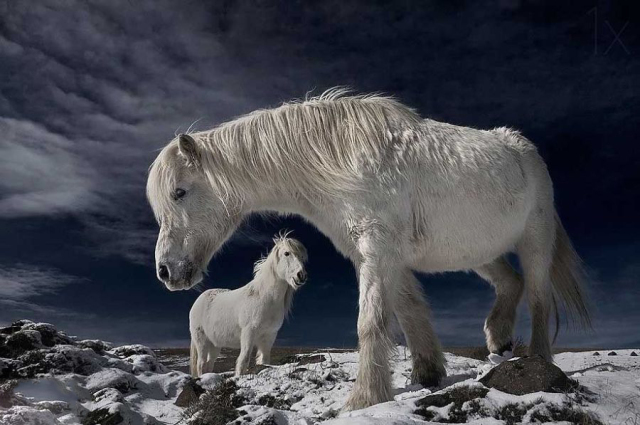 冰岛冰与火的世界,冰岛世界尽头的纯净