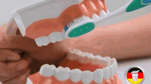 牙齿收藏有什么用,如何收藏自己的牙齿