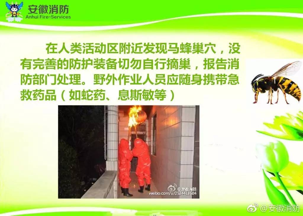 居民屋檐下惊现巨型马蜂窝,居民楼惊现马蜂窝消防队员一窝端