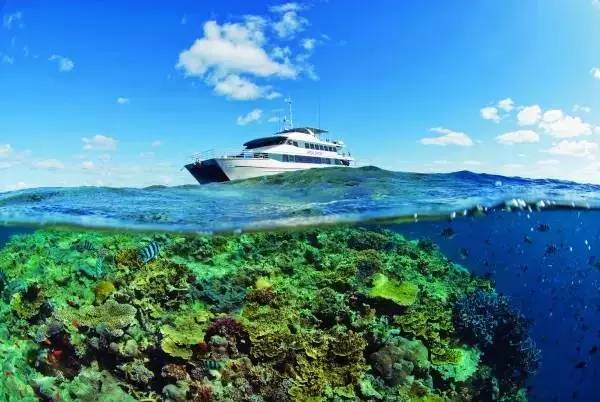 船宿潜水选哪里,从小白到潜水教练需要花多少钱