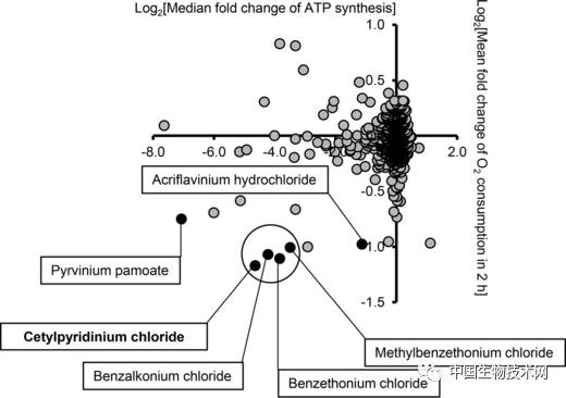 常用防腐抗菌成分会使细胞失能并影响激素反应