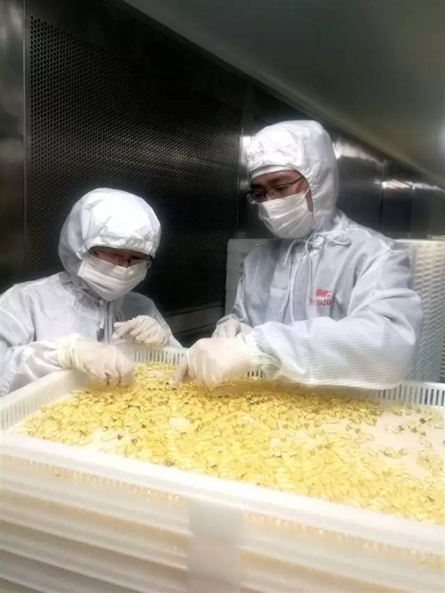 浙江台州农产品有哪些,台州特色农产品有哪些