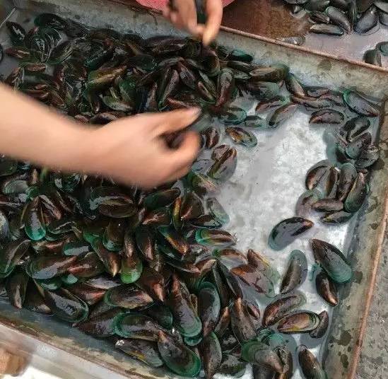 家住福州仓山,印象仓山的真实生活