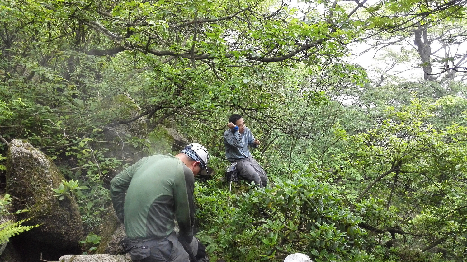 走近你就走进了痛苦出自哪里,走近你就是走近痛苦