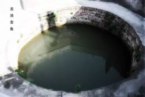 大局已定还要继续努力吗,大局已定扭转乾坤