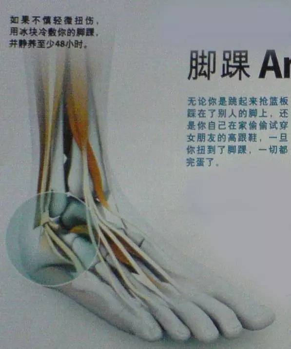 夏天如何保护脚踝不受凉,天气冷脚踝怎么保护