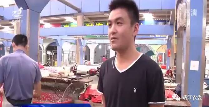 靖江渔婆菜场河虾市价,靖江河虾多少钱一斤