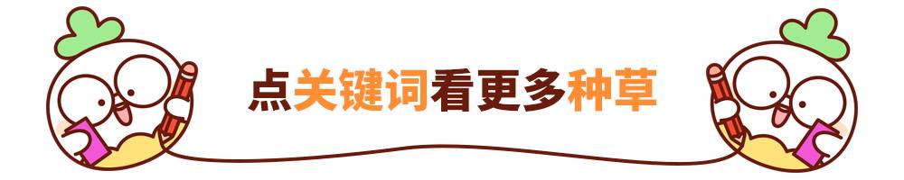 如何用最少的钱买齐一套彩妆？超平价的良心清单来了
