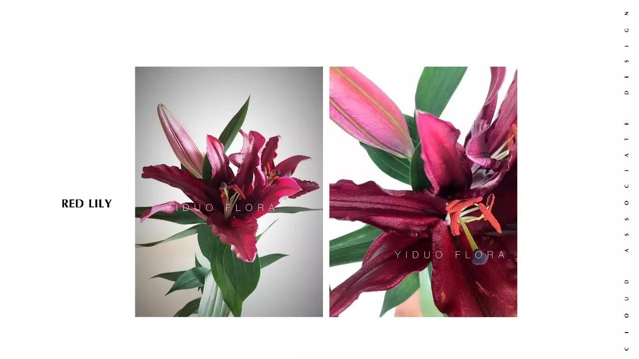 软装设计师色彩搭配大全,软装设计师如何搭配色彩