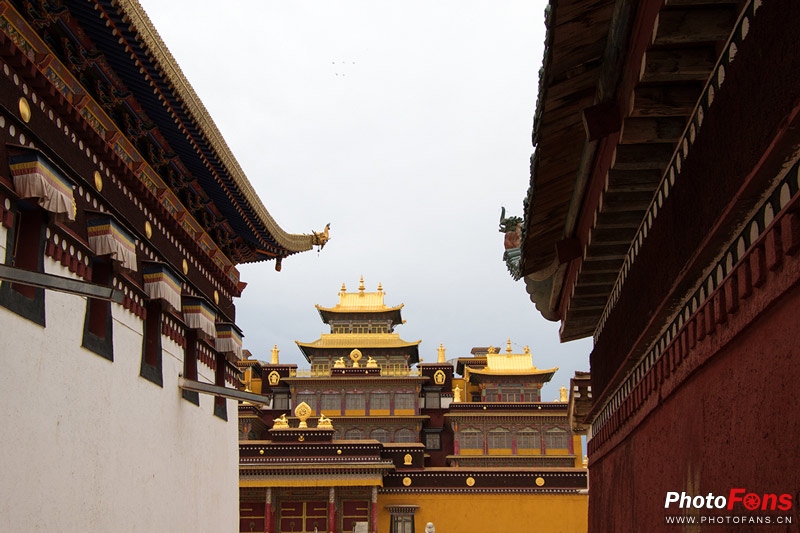 一镜走天下腾龙镜头,一镜走天下18-200腾龙镜头