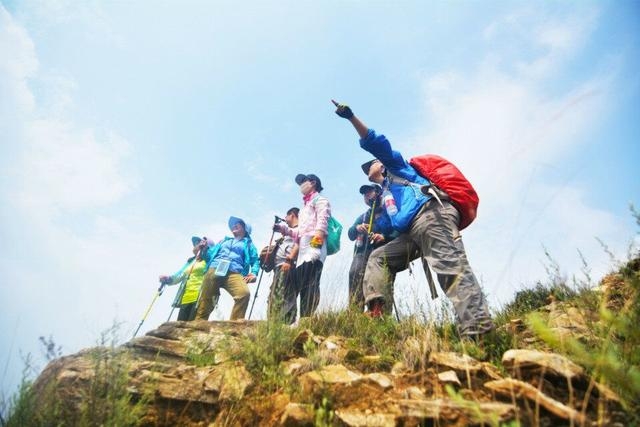 神木全攻略,吐血整理学习攻略