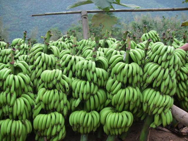 美丽的河口一日游,秋色正好邂逅大美河口