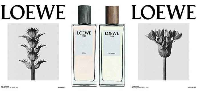 香水控朋友圈,日常香水香味推荐