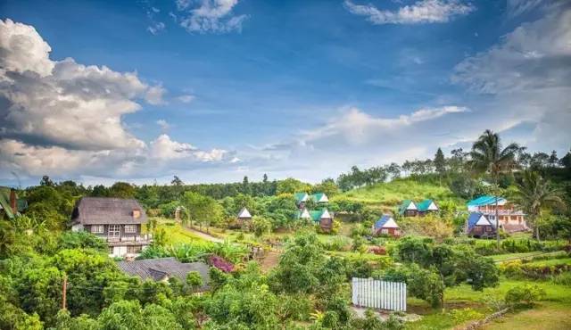 我们相爱吧无尾熊插曲,我们相爱吧无尾熊探班