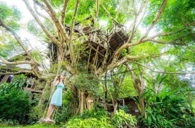 我们相爱吧无尾熊插曲,我们相爱吧无尾熊探班