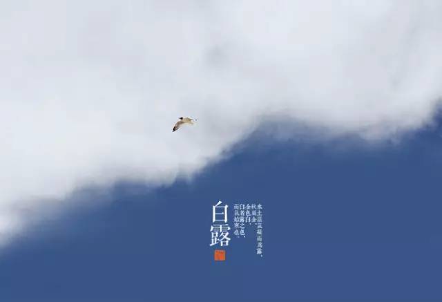 澶滆浜屽崄鍥涜妭姘斾箣鐧介湶,鐧介湶鑺傛皵鍏荤敓