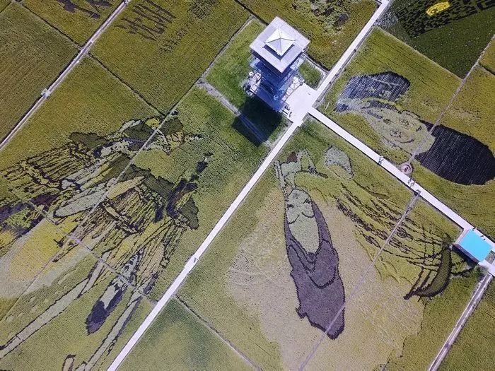 沈阳稻梦空间,沈阳稻梦空间星空