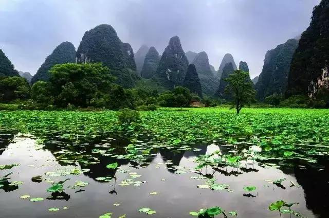 广西山清水秀风景视频,广西山清水秀的县