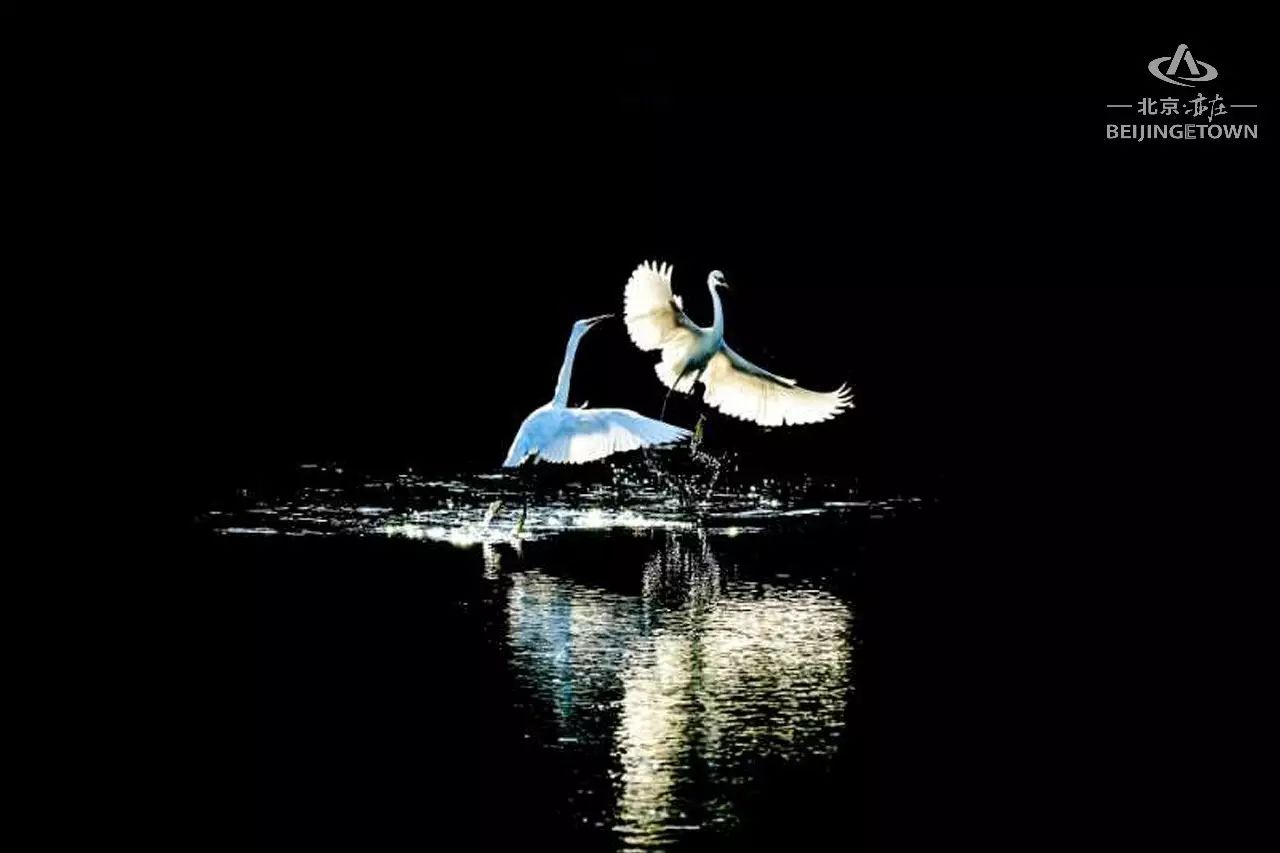 快来领取你的可爱姓氏壁纸,免费领取动态热门主题壁纸