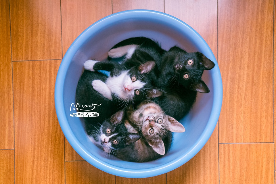 豆瓣日记10月,豆瓣日记