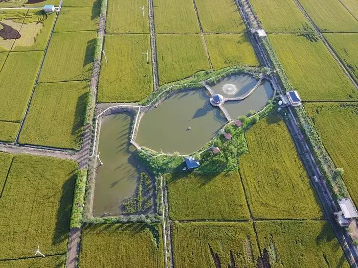 沈阳稻梦空间玉米,沈阳有稻梦空间吗