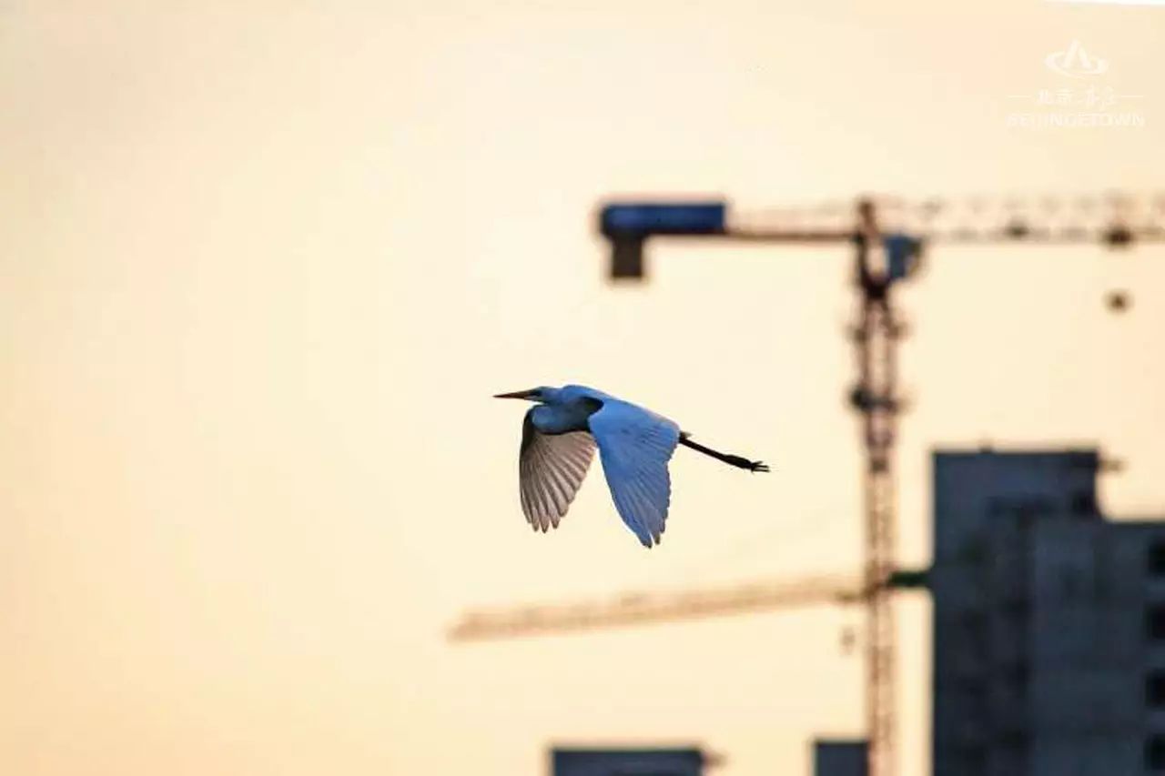 快来领取你的可爱姓氏壁纸,免费领取动态热门主题壁纸