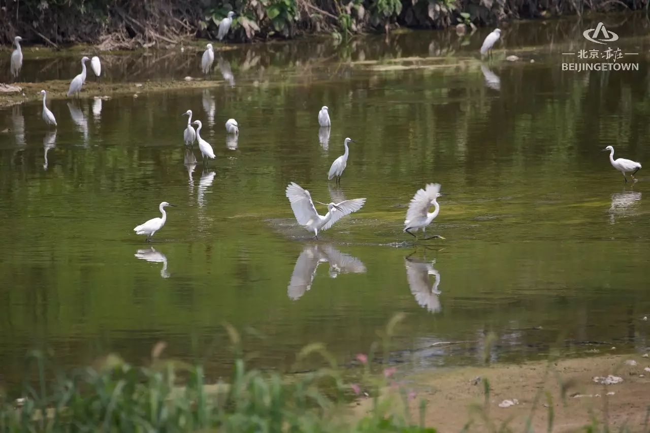 快来领取你的可爱姓氏壁纸,免费领取动态热门主题壁纸