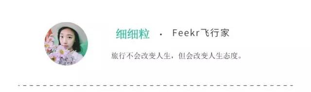 我们相爱吧无尾熊插曲,我们相爱吧无尾熊探班