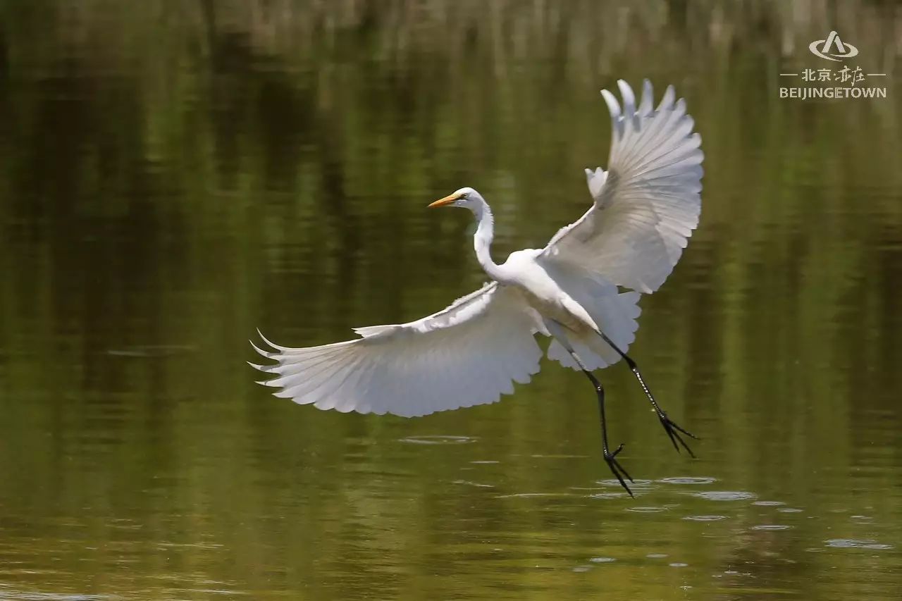 快来领取你的可爱姓氏壁纸,免费领取动态热门主题壁纸