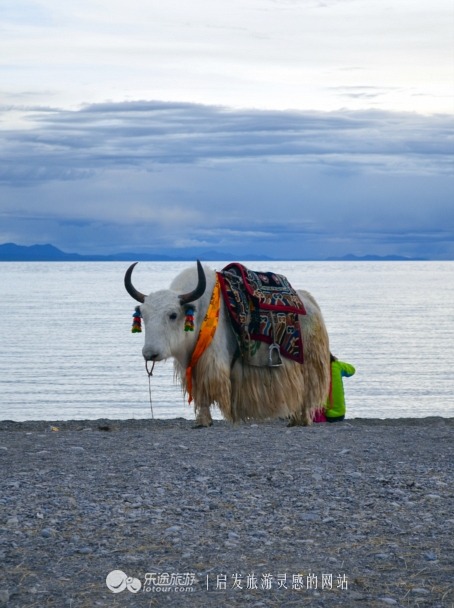 西藏圣湖之纳木错,西藏纳木错闪闪发光的世界
