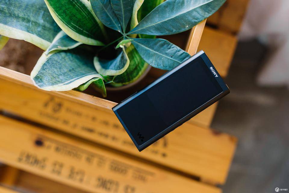 索尼nw-a306和zx300a哪个好,索尼walkmannw-e393