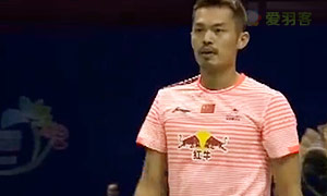 林丹打吐安赛龙,林丹打到李宗伟抽筋