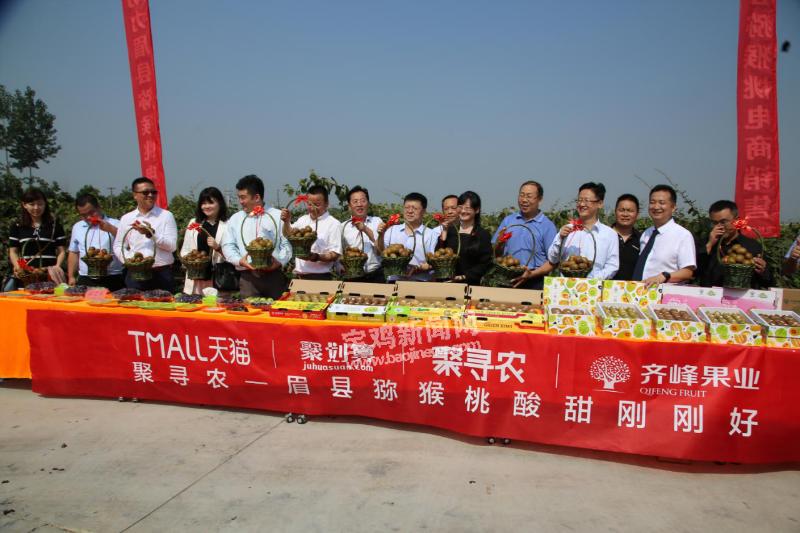 猕猴桃宝鸡眉县,淘宝眉县猕猴桃