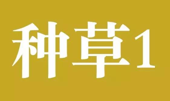 换了20款防晒，天天用的竟然是这款！