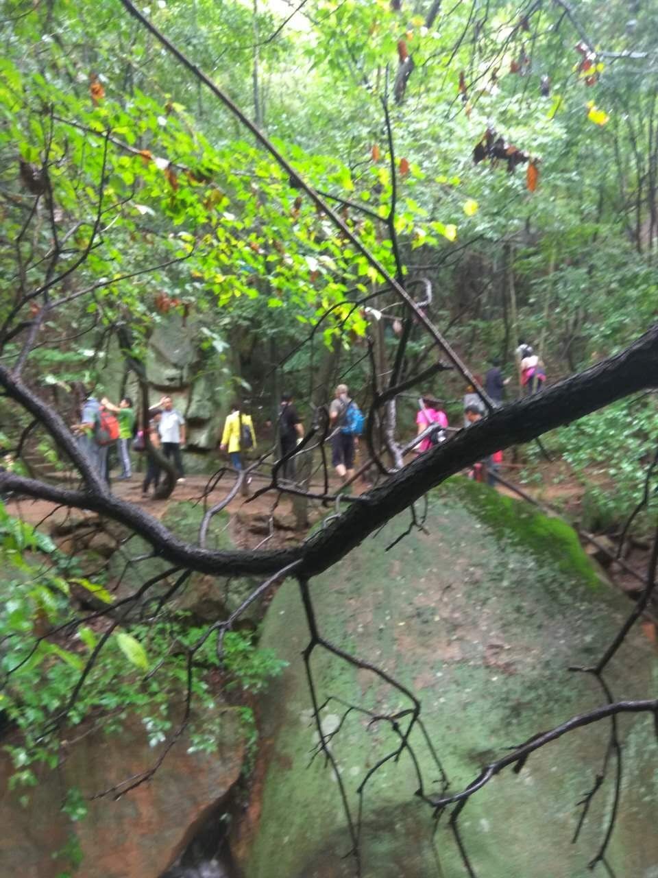 焦作特种兵一日游景区,焦作炮兵旅旅游攻略