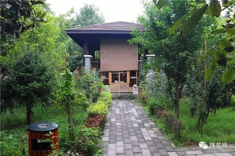 西安最好的陕菜在哪里,西安陕菜探店