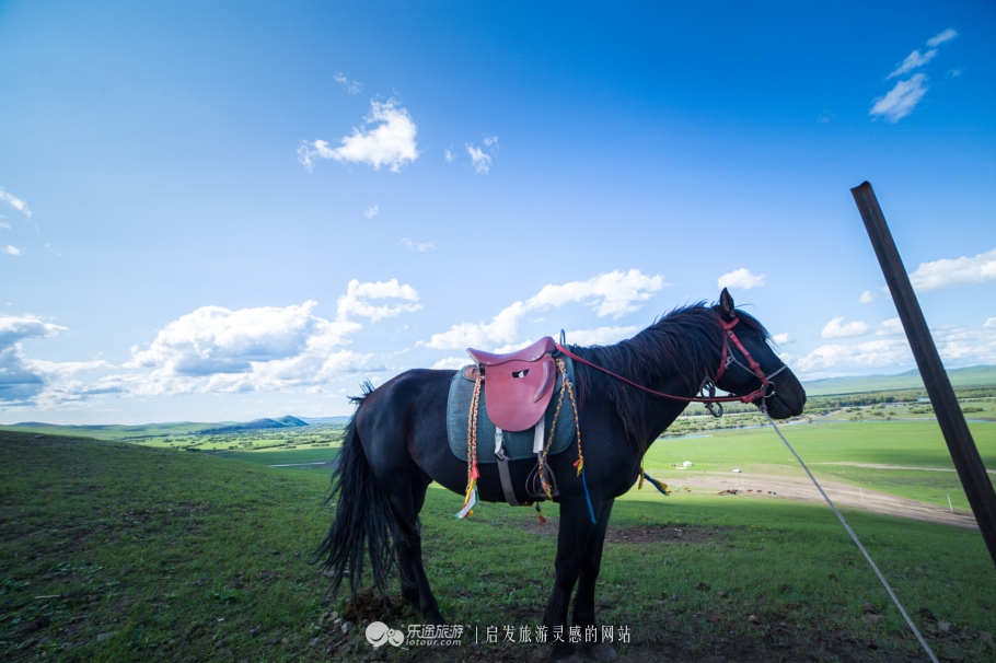 现代中国赤兔马,当代赤兔马