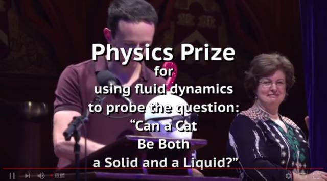 猫，究竟是固体还是液体？物理学（严肃地）说：可以都是！