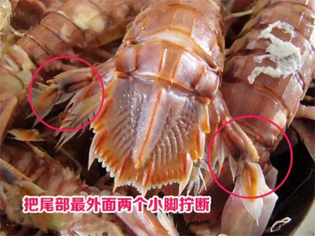 青岛的虾虎与琵琶虾,真正的青岛虾虎