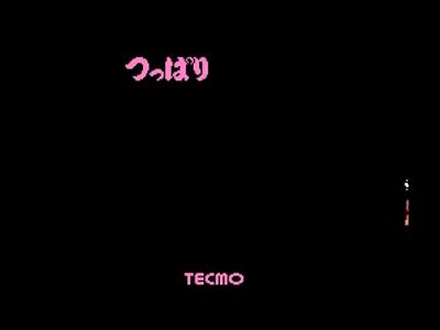 fc上的宝可梦游戏,fc经典有哪些