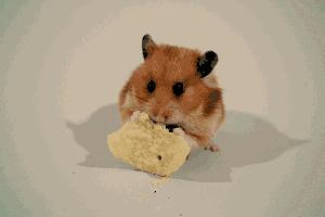 吧唧嘴的声音怎样消除,为什么讨厌吃饭吧唧嘴的声音