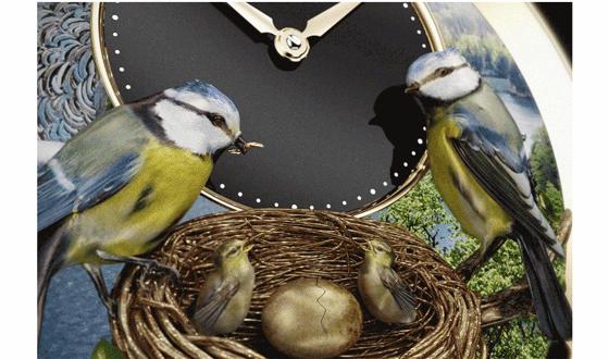 随乐而行新作品,随乐而行