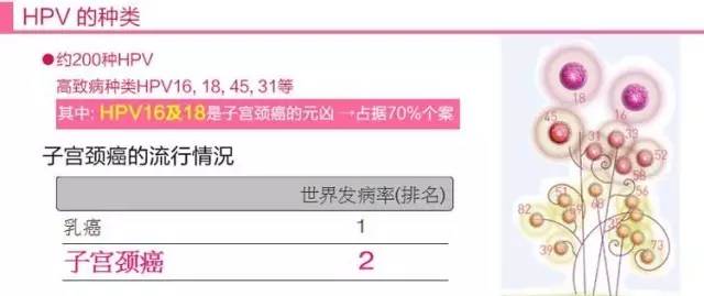 常州宫颈癌疫苗在哪接种,常州哪里有打宫颈癌疫苗的