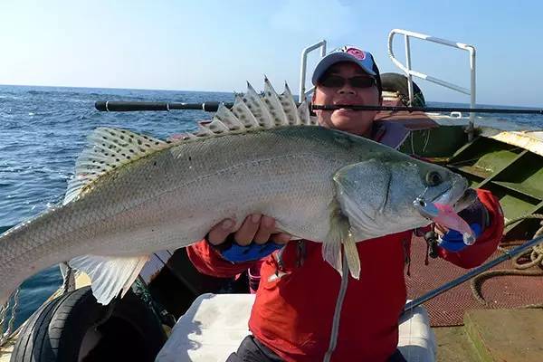 路亚轮和路亚竿是通用吗,自己制作路亚竿和路亚轮