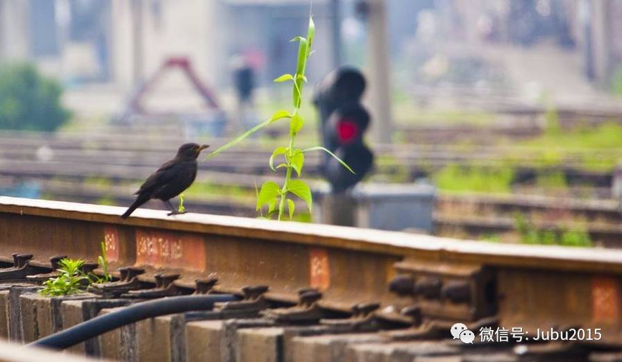 刚开始做微店会遇到的问题,对微店的理解和认识