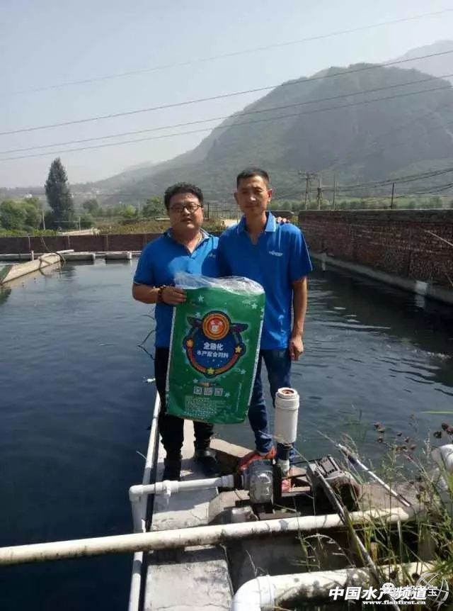 鲟鱼适合怎样吃,吃得好花费少