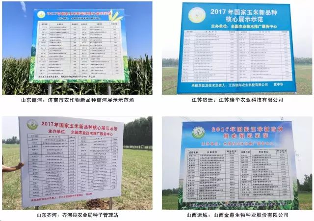 2019年农业部推广的玉米新品种,2022年国家审定的玉米新品种