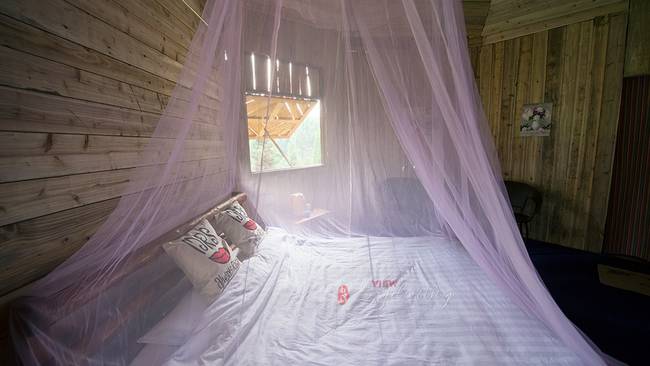 邛崃南宝山旅游攻略,去四川成都旅游最好攻略一日游