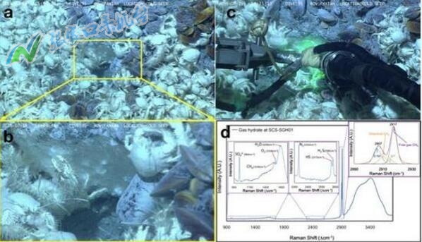 张家口新闻广播今日头条,张家口新闻联播今天